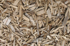 biomass boilers Llangian